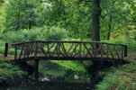 wbruecke-im-wald-1280x853.webp