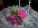 PICT2539.webp