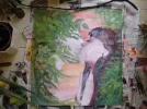 natur.webp