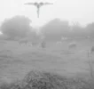 UFO1939.webp