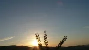 sonnenaufgang2.webp