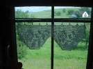 DSC00005.webp