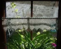 DSC00007.webp