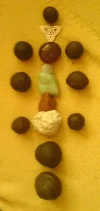 moquisbaum.webp