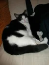 fleckchen3.webp