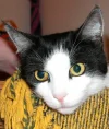 fleckchen4.webp
