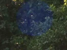 vergrössert.webp