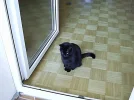 SA400274.webp