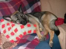 Meggie22.webp