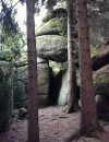Rechberg3_Herbst.webp