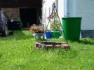 Garten.webp