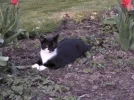 Theo 003.webp
