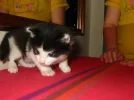 Baby Sonntag 27.11.2005 013.webp