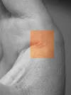 Hand.webp
