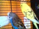 Bild 12.webp