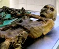 ötzi.webp
