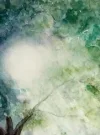 engel.webp