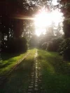 licht.webp
