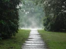 CIMG1174.webp