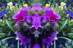 blumenspie.webp