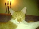 DSC00090.webp