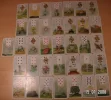 Celine04.webp