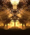 6pgx7pd.webp