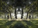 8a33ewo.webp