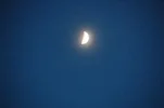 DSC_0049_350x232.webp