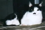 Mimi (16 Jahre).webp