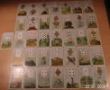 Hexchen1000.webp