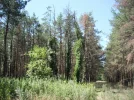 DSCF9997.webp