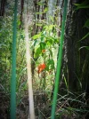 DSCF0002.webp