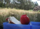 DSCF9970.webp