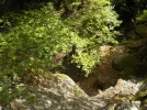 DSCN3723.webp