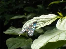 DSCN3707.webp