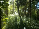 DSCN3768.webp