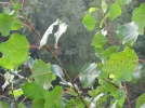 IMG_2127.webp