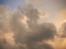 DSCF0104.webp