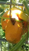 20170731_124118.webp