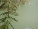 DSCN3778.webp