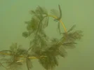 DSCN3774.webp
