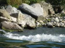 IMG_2155.webp