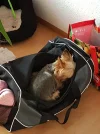 IMG-20170808-WA0016.webp