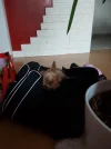 20170808_203353.webp