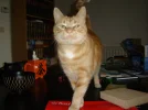DSC00009.webp