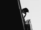 DSCN1159.webp