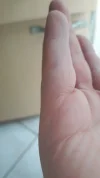 1502371262556-2041150930.webp