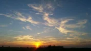 083.webp