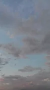 20170811_201718.webp